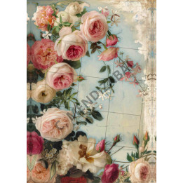 copy of 